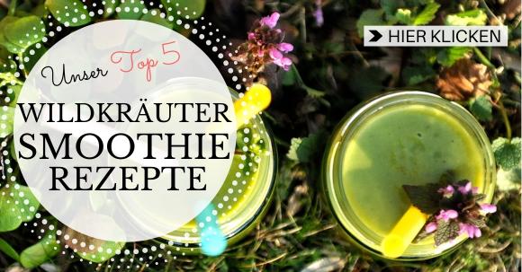 Zu unseren Wildkräuter-Smoothie-Rezepten