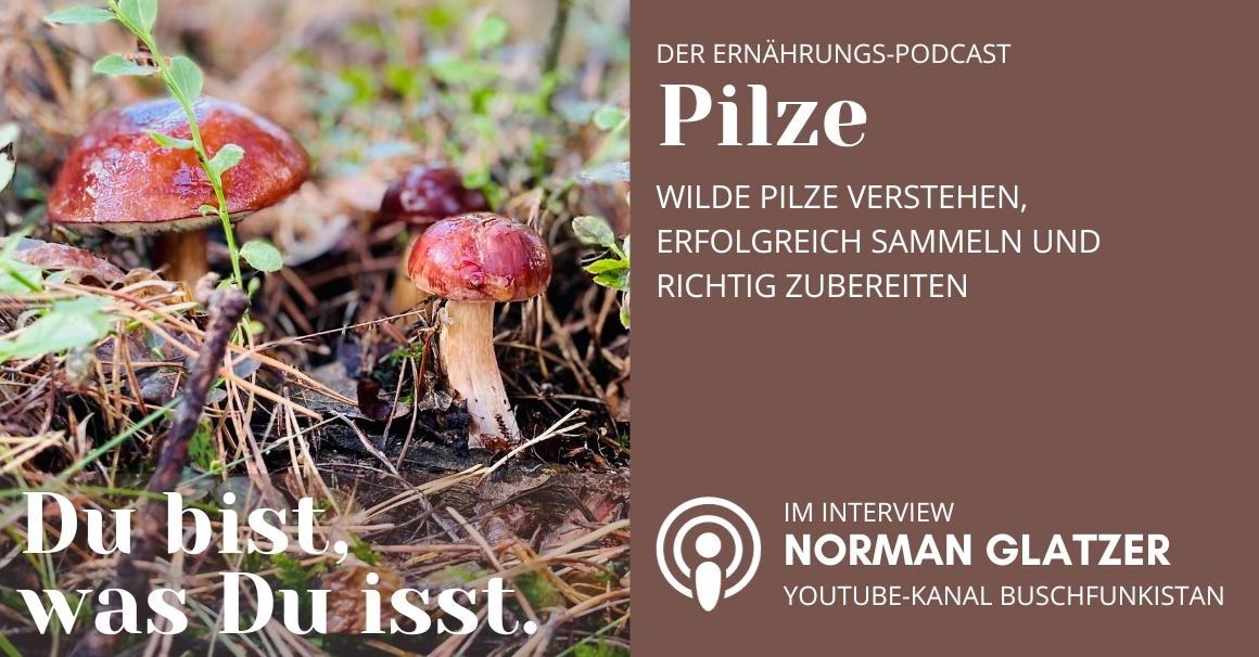 Du bist was Du isst - Der Ernährungs-Podcast - Pilze: Wilde Pilze verstehen, erfolgreich sammeln und richtig zubereiten - Podcast Episode
