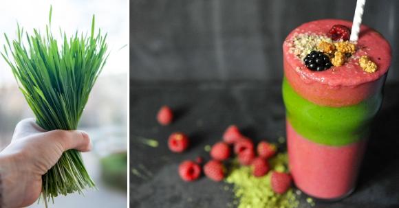 Weizengras-Smoothie geschichtet mit einem Himbeer-Smoothie