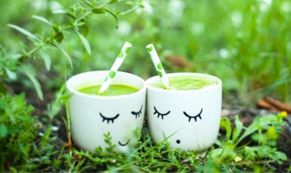 Wildkräuter Smoothie Rezept mit Baumblüten